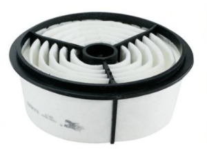 Miniature Changan bell sheep