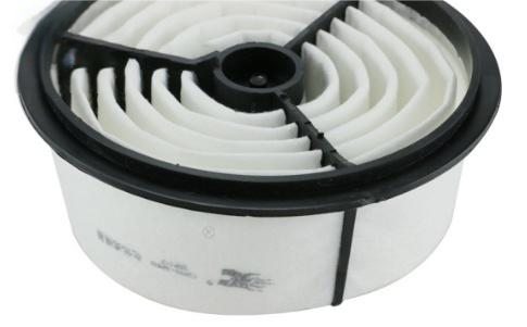 Miniature Changan bell sheep