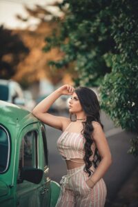 Volkswagen Classic Models